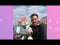 Man Expected a Calm Bull Terrier But Got a Firecracker Instead | Cuddle Buddies