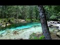 Beautiful Forest River Sounds 🏞️, White Noise, Street Relief, Sleeping, Studying, and Relaxation