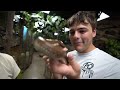 CAGE BY CAGE EXOTIC REPTILE STORE TOUR!! (insane)