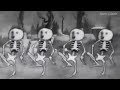 Spooky Scary Skeledogs