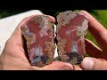 8 Colorful Condor Geode Agates Cut Open with Saw!