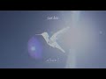San Holo - forever free (ft. Duskus) [Official Audio]