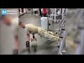 Strongest Soldier in the World - Diamond Ott | Muscle Madness