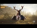 1,044 Kills Into Great One Whitetail Grind - The Hunter: Call Of The Wild