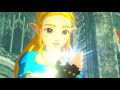 Hyrule Warriors: Age of Calamity - Hylian Champion Link (Cutscenes)