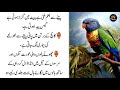 Ture lines | Heart Touching Lines | Life Changing Urdu Stories | Urdu Quotes in Hindi