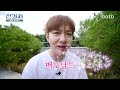 A degree worth a shot [Kyunghee University Korean Medicine Department] Jeongwaja ep.34