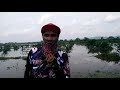 MAKIN PANAS MAKIN AGRESIF || MANCING GABUS DI PERKEBUNAN KELAPA SAWIT