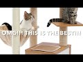 Episode 1 Cat Story
