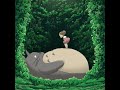 Studio Ghibli Music Collection (Relaxing Ghibli Music)