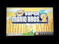 New Super Mario Bros 2 Max Coins