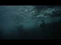 Cinematic Underwater Sony A6300- An Affordable Camera in an Affordable Seafrogs Camera Housing