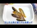 I ate the PETS someone threw away【ENG SUB】
