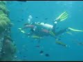 Scuba diving in Phuket