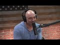 Joe Rogan Experience #1353 - Rob Zombie