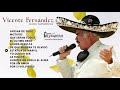 Vicente Fernandez | Exitos Romanticos 