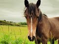 The Secret To Natural-Looking Watercolour Greens - It's Easier Than You Think