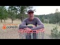 What is SNAP? How to generate snap in your disc golf game!