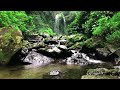 Relax with Beautiful Water Sounds of a gently flowing Waterfall for Sleeping, Meditation, Yoga