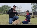 Hmari Sherni Ny Bachay De Diye | Birth of Beautiful Lion Cubs 😍 | Nouman Hassan |