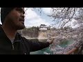 The Scenic Beauty of the Osaka Castle on the Outside