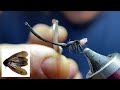 Fly Tying the Winged Beetle  A Proven Pattern that Catches Fish, especially when no hatch is present
