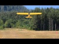 Bills takeoff from McKenzie Bridge state airport