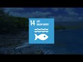 What is Sustainable Development Goals (SDGs)?