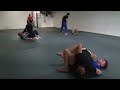 nogi bjj with professor cobra 6.30.24