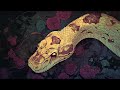 A Venomous Encounter | Music for RPG