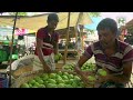 বিশাল আমের হাট রাজশাহীর বানেশ্বরে || Panorama Documentary