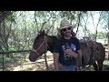 What's on Dales Saddle - Just Ranchin 11