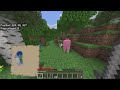 Minecraft pink sheep sighting