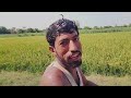 Doston ke sath Gapshup full Enjoyment |Interesting vlog | Desi Dhola