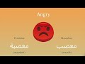 Emotions and Feelings Vocabulary in Arabic | Levantine Arabic for Beginners