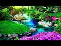 Relaxing Music for Stress Relief. Meditation Music for Yoga, Healing Music for Massage, Soothing Spa