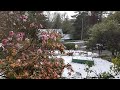 TEDDY BEARS, IT'S SNOWED! I (Part 2.10 August 2019). Snow AGAIN in The Village of Wentworth Falls.