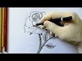 Rose Drawing Easy Step By Step || How To Draw A Rose || Art For Beginners