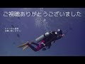 【4K】柏島水中映像