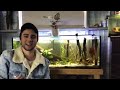 DIY: Simple Amazon AQUASCAPE Tutorial For Beginners (Simple, Cheap and Easy to Maintain)