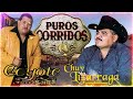 Chuy Lizárraga, El Coyote y Su Banda Tierra Santa - Mix Para Pistear 2023 - Puros Corridos Mix 2023