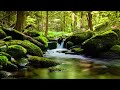 Frecuencias Binaurales para Dormir🤩/ Río con Pájaros😎/ Probadas por la Ciencia p/Relajación👽