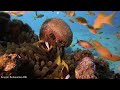 Colors Of The Ocean 8K Video ULTRA HD - The best sea animals for relaxing and soothing music #16