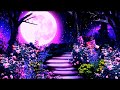 Under the New Moon  ༄ Ethereal Ambient Music - Fantasy Music