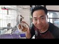 Cách Thay Đổi Thức Ăn Cho Chim Đơn Giản Nhưng Hiệu Quả II How to change bird food@KhiNguyen Vlog