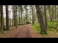 Enchanting Walk to a small Forest Moor | no talking, no people | Austria | ASMR