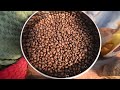 Kona Premium Coffee Company - 8 oz Kona PEABERRY Premium Estate (Full City) - Fresh Roast SR800