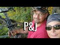 P&Js Trail Cams | Stray Cat | Birds