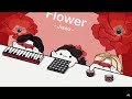 Meow   (flowers)