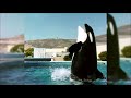 Killer Whale History - 1960s